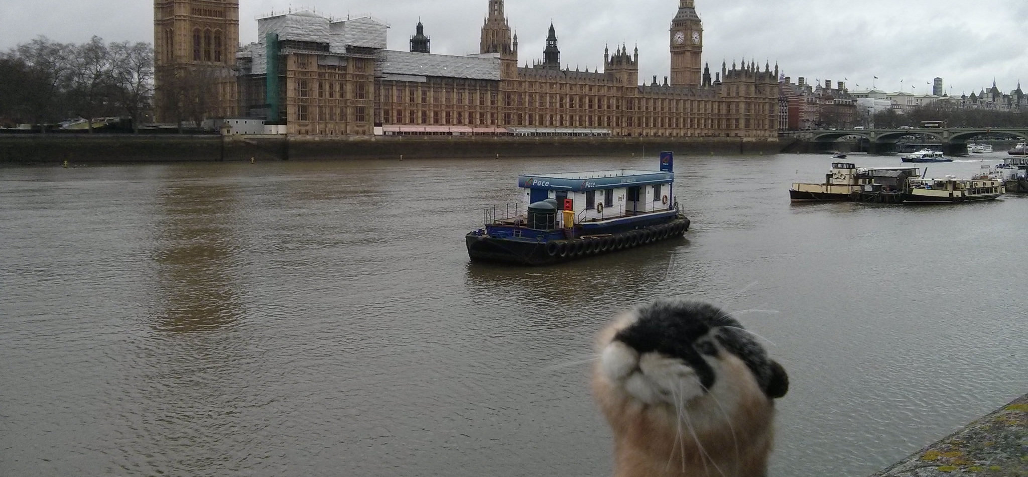 Visiting, Tower Bridge