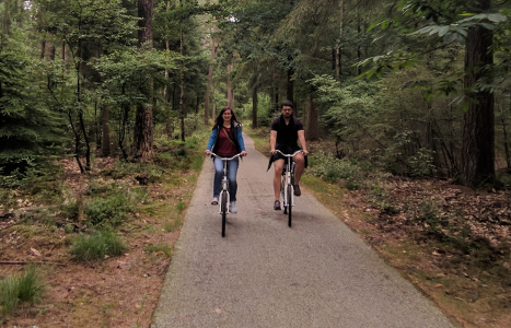 Biking in the Hego Veluwe park