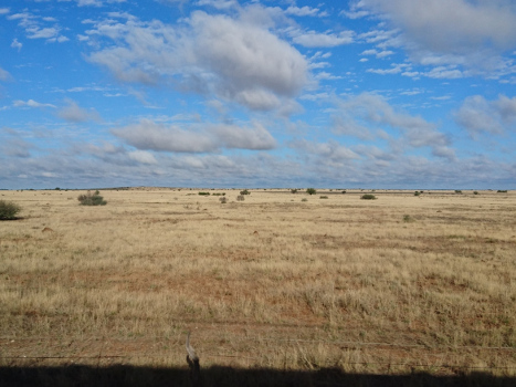 Blond field along the Shosholoza Meyl train