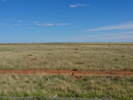 Green field in the middle of South Africa, Shosohloza Meyl